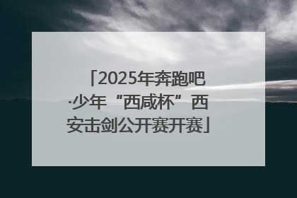 2025年奔跑吧·少年“西咸杯”西安击剑公开赛开赛