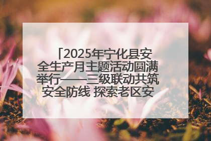 2025年宁化县安全生产月主题活动圆满举行——三级联动共筑安全防线 探索老区安全发展新路径