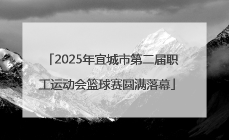 2025年宜城市第二届职工运动会篮球赛圆满落幕