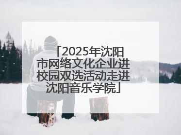 2025年沈阳市网络文化企业进校园双选活动走进沈阳音乐学院