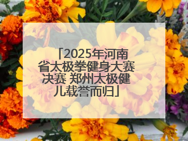 2025年河南省太极拳健身大赛决赛 郑州太极健儿载誉而归