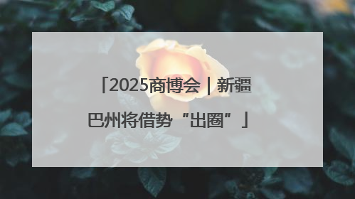 2025商博会｜新疆巴州将借势“出圈”