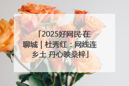2025好网民·在聊城｜杜秀红：网线连乡土 丹心映桑梓