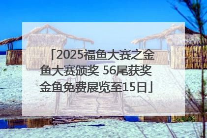 2025福鱼大赛之金鱼大赛颁奖 56尾获奖金鱼免费展览至15日