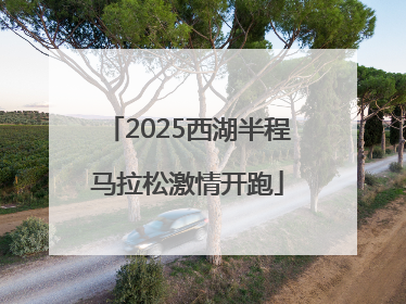 2025西湖半程马拉松激情开跑