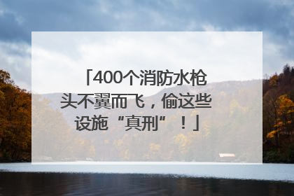 400个消防水枪头不翼而飞，偷这些设施“真刑”！
