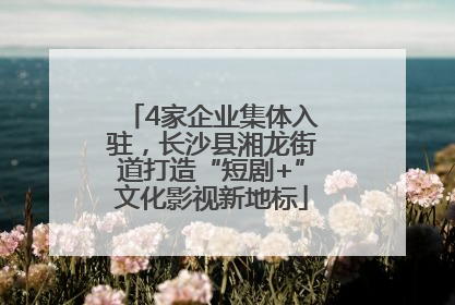 4家企业集体入驻，长沙县湘龙街道打造“短剧+”文化影视新地标