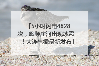 5小时闪电4828次，旅顺庄河出现冰雹！大连气象最新发布