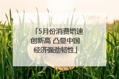 5月份消费增速创新高 凸显中国经济强劲韧性