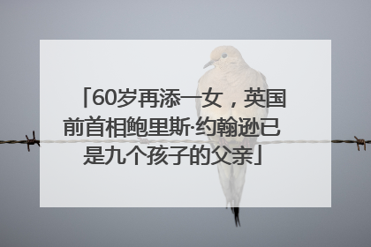 60岁再添一女，英国前首相鲍里斯·约翰逊已是九个孩子的父亲