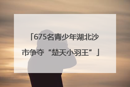 675名青少年湖北沙市争夺“楚天小羽王”