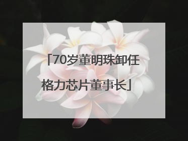 70岁董明珠卸任格力芯片董事长
