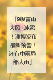 9级雷雨大风+冰雹！淄博发布最新预警！还有中雨局部大雨