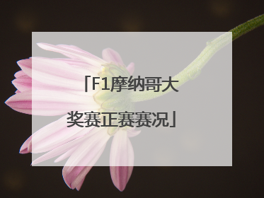 F1摩纳哥大奖赛正赛赛况