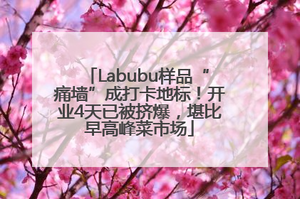 Labubu样品“痛墙”成打卡地标！开业4天已被挤爆，堪比早高峰菜市场